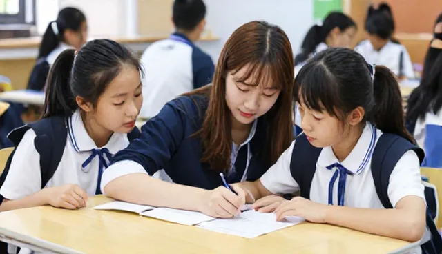 师资培训中常见的问题与应对策略